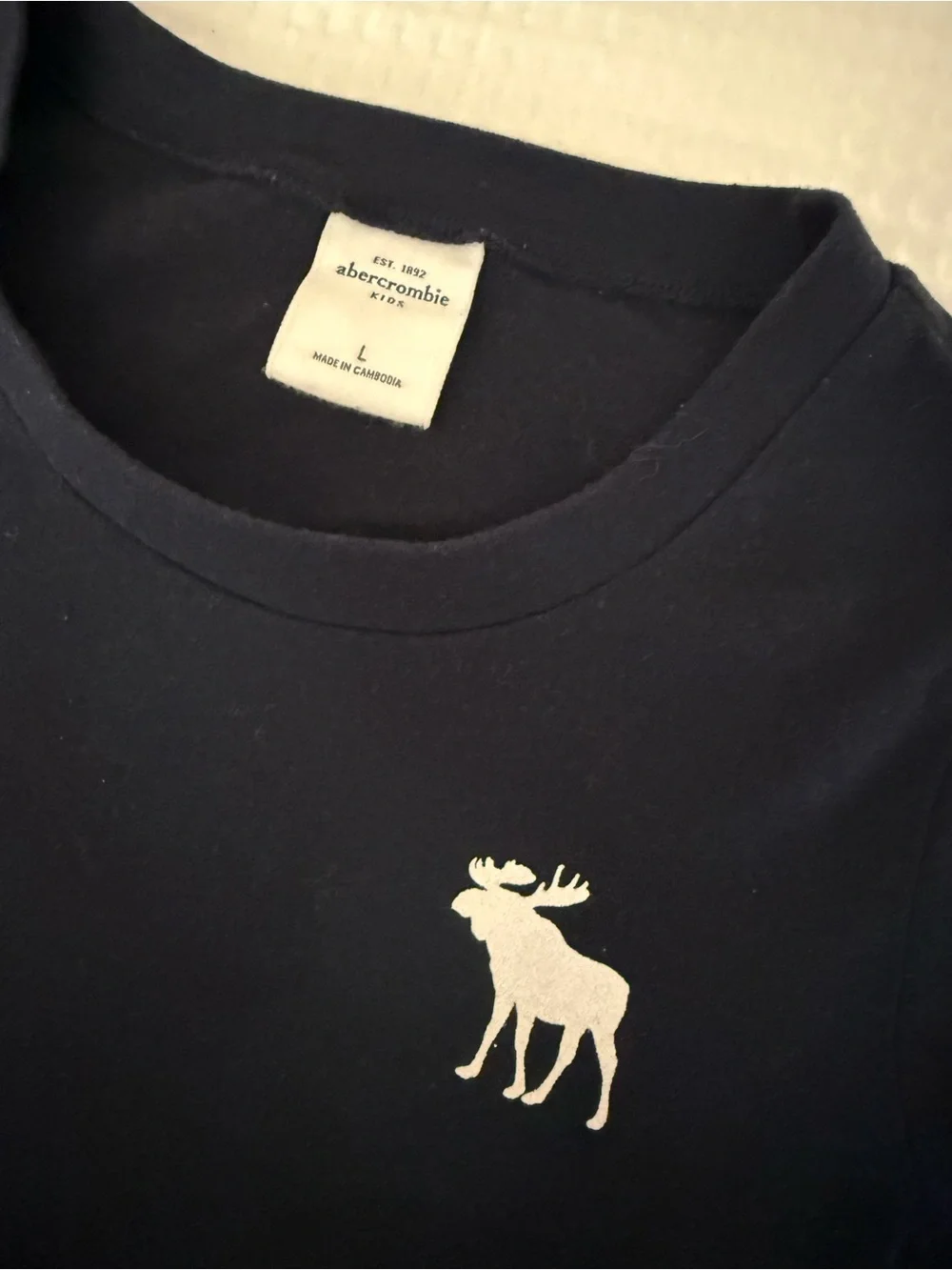 Abercrombie Kids Long-Sleeve Logo Tee - Navy
